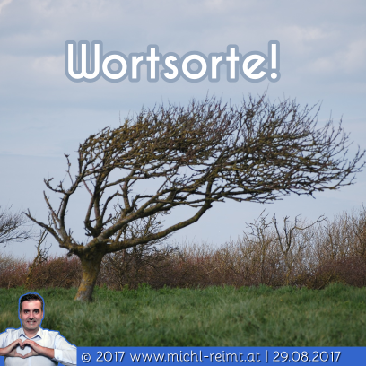 Gedicht: Wortsorte!